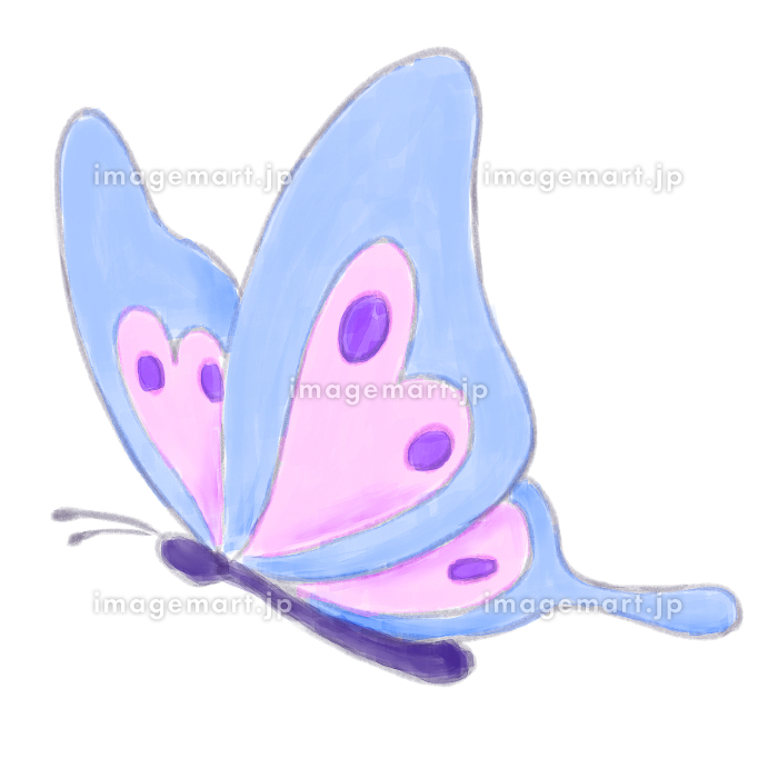 タイトル【夢旅蝶々】絵画｜