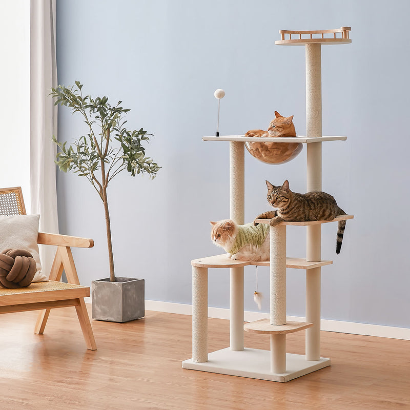 ❤仔猫もシニア猫も遊べる＆ゆったり寛げると大人気♪❤お洒落キャット