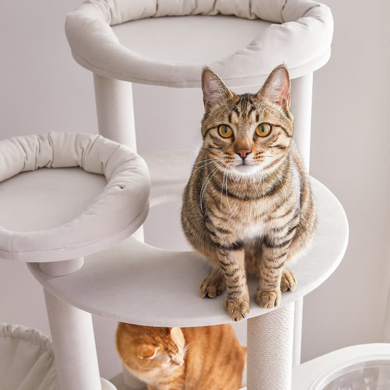 MWPO キャットタワー大型 高さ170cm 大きい猫 の 遊び場 自作 猫 用 綿