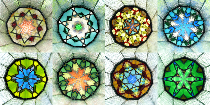 万華鏡：ホイールスコープ］パイオニア（アオサギ）：マーティ