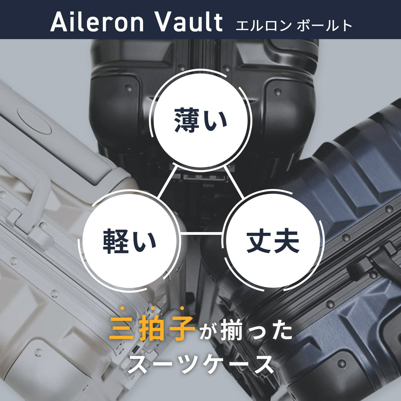 希少美品】LP パンデイロ ケース付き 送料込み 希少美品】LP