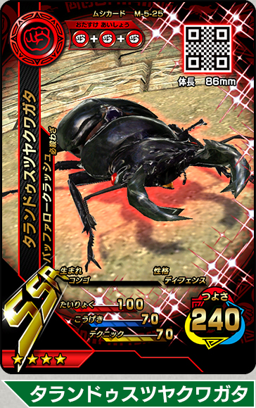 赤い目のタランドゥスツヤクワガタ