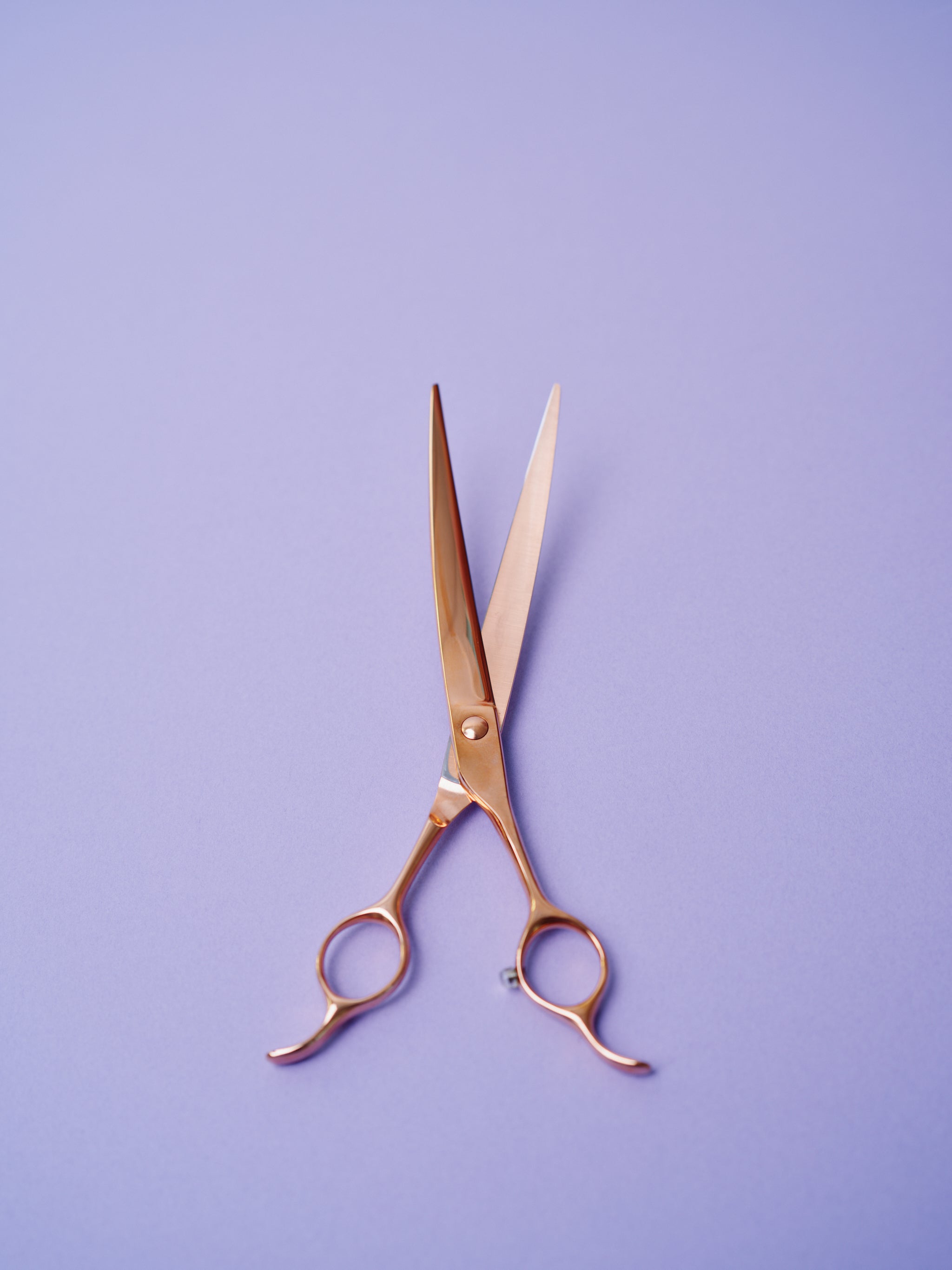 TAA スーパーカーブシザー7.5インチCB75 TAA スーパーカーブシザー7.5