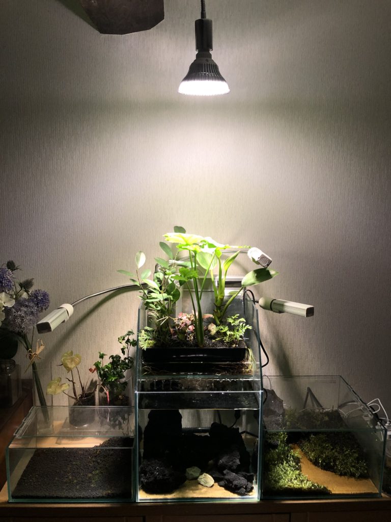 すぐ始められる！！上部濾過式アクアポニックス水槽アクアリウム水槽