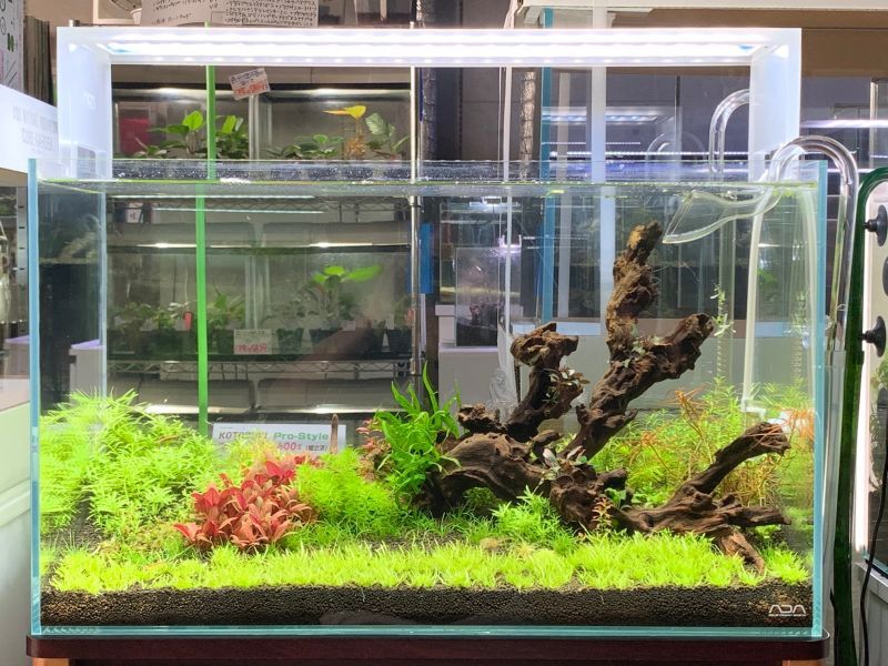 引き取り限定】ada キューブキャビネット 60センチ水槽用 ADA キューブ