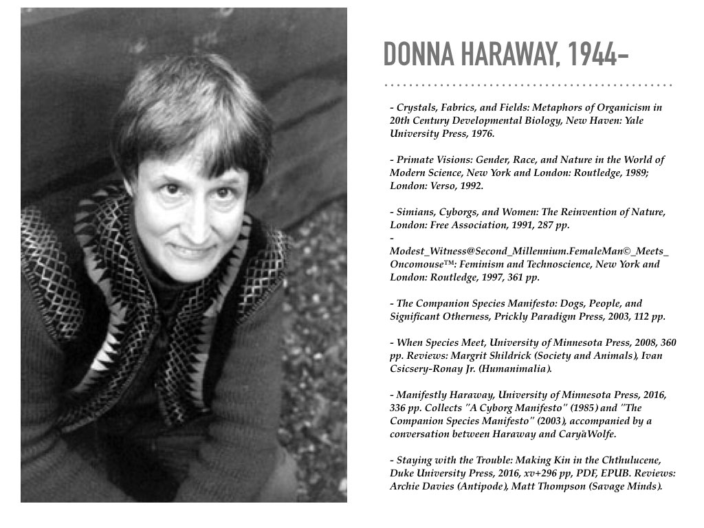 ダナ・ハラウェイ