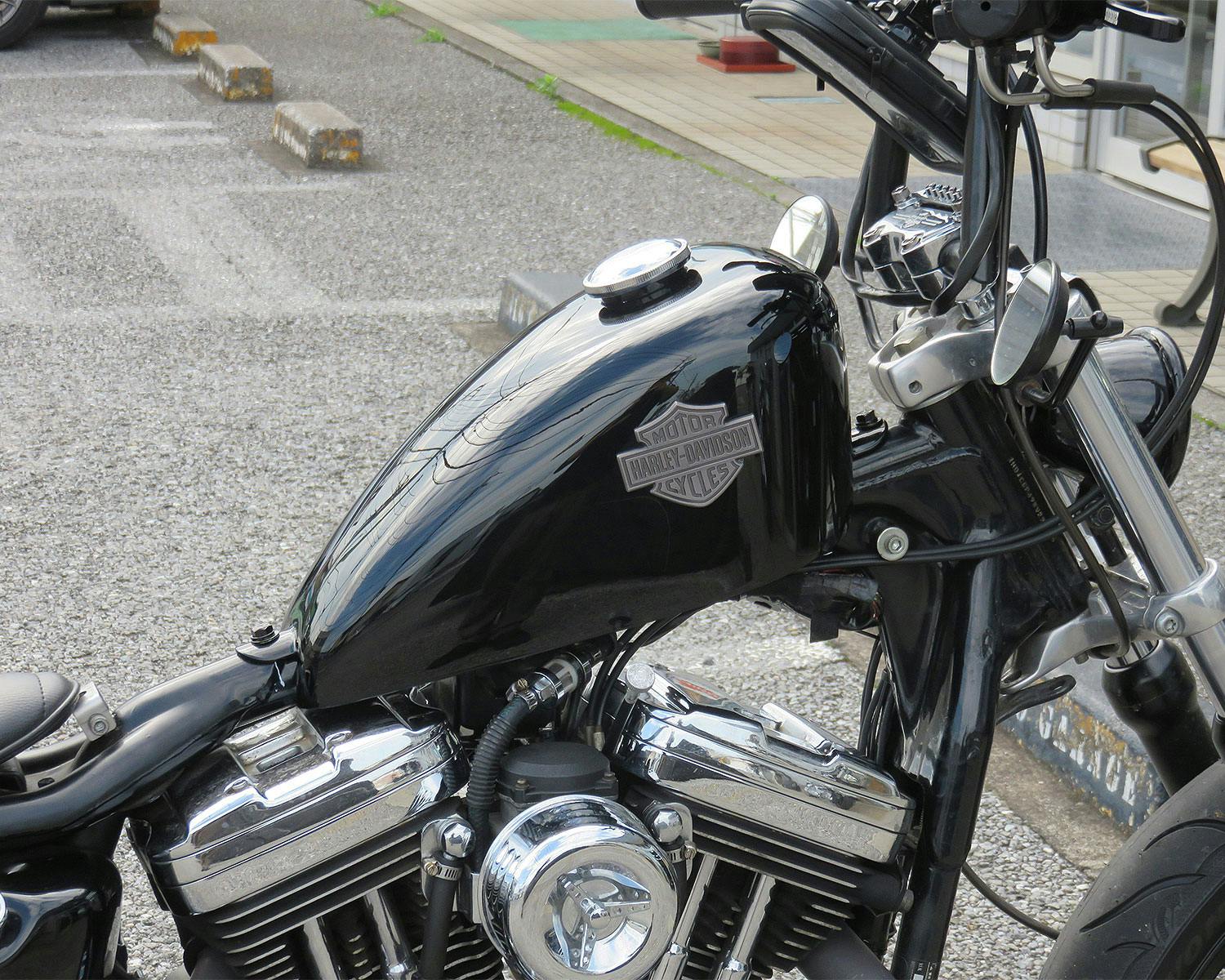 カスタムペイント ハーレー スポーツスターをフレイムスとブルーのロゴ