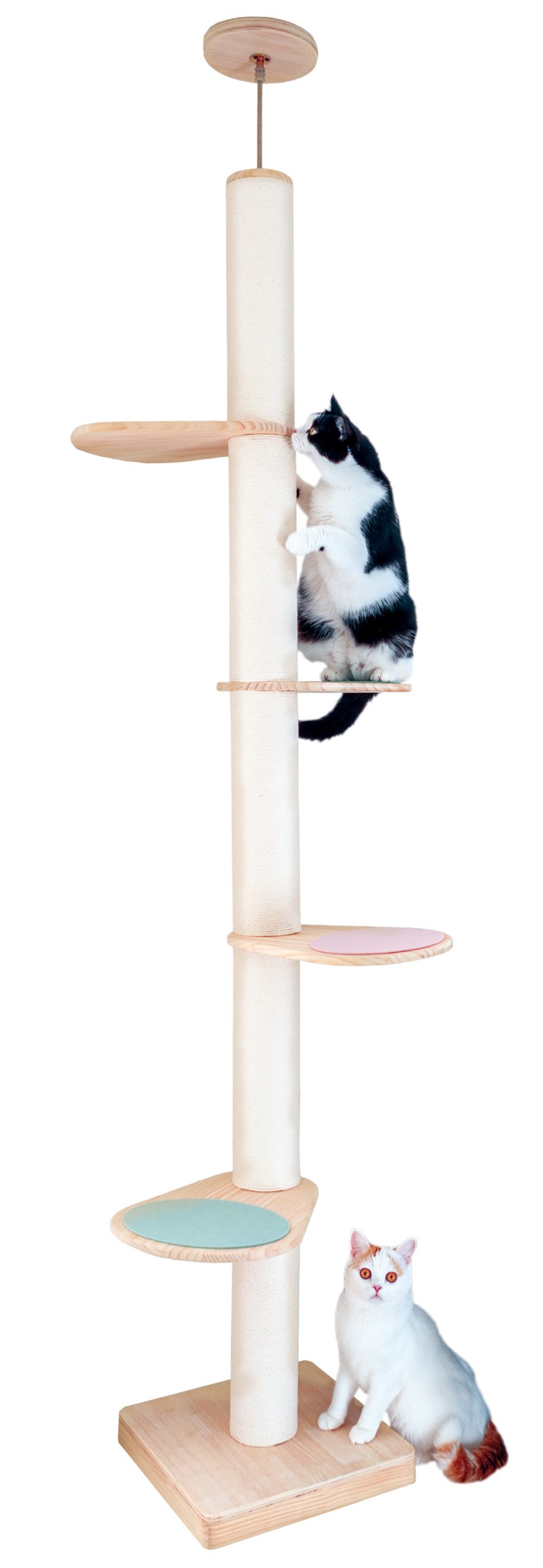 すみずみまで猫と人にやさしいキャットタワー
