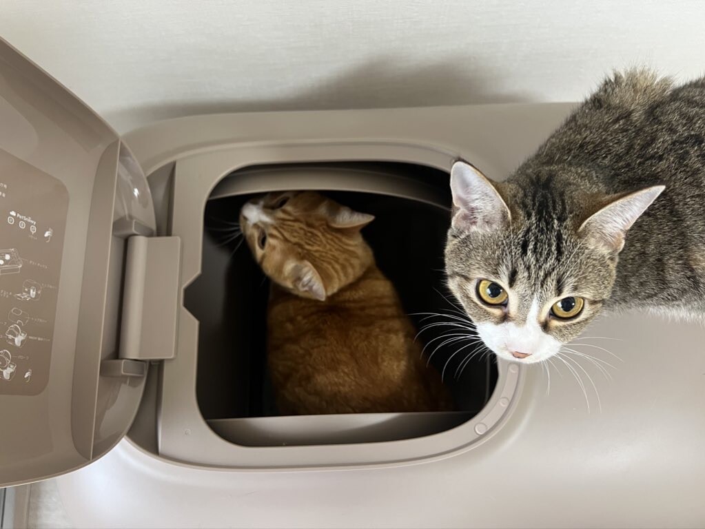 Pety PS-001 猫用トイレ 全自動猫トイレ Pety PS-001 猫用トイレ 全
