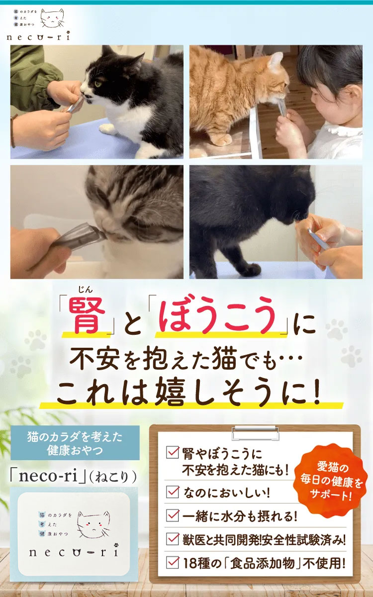 公式】neco-ri（ねこり）｜猫のカラダを考えた健康おやつ
