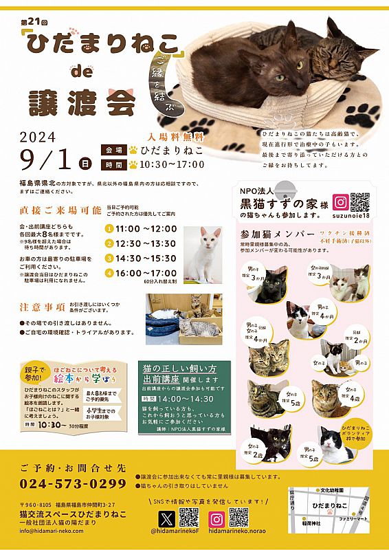 9月1日「ひだまりねこde譲渡会」を福島市で開催 猫の里親さまを募集