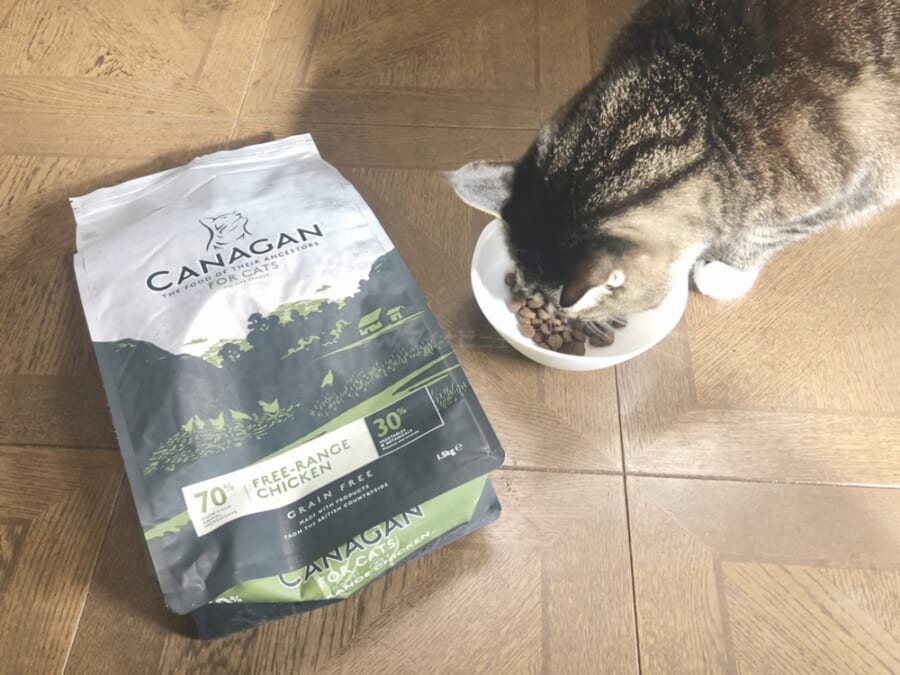 カナガンドッグフード チキン｜株式会社レティシアン CANAGAN FREE