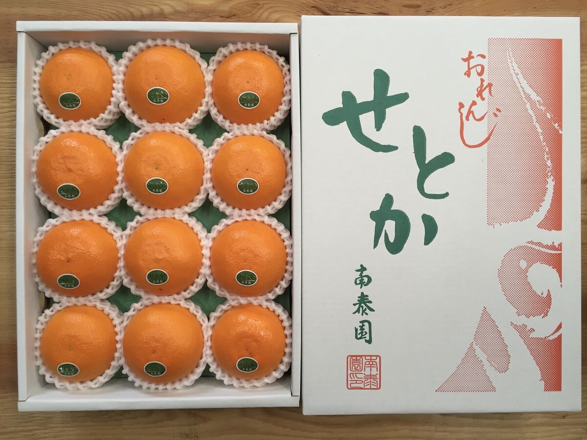 和歌山県有田川町のふるさと納税返礼品「『南泰園』こだわりのみかん