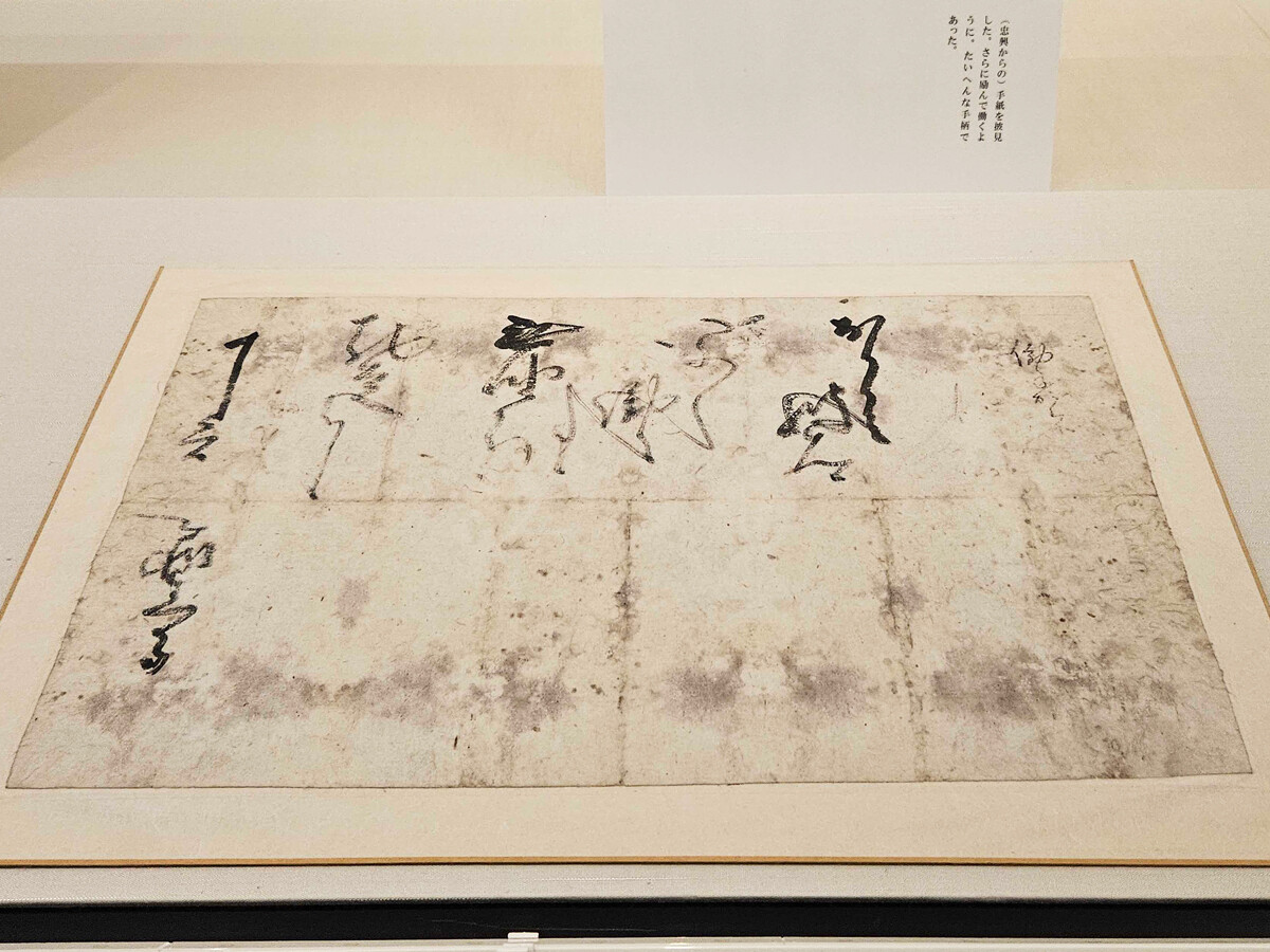 信長の肉声”つまった大迫力の60通!「信長の手紙 ―珠玉の60通大公開