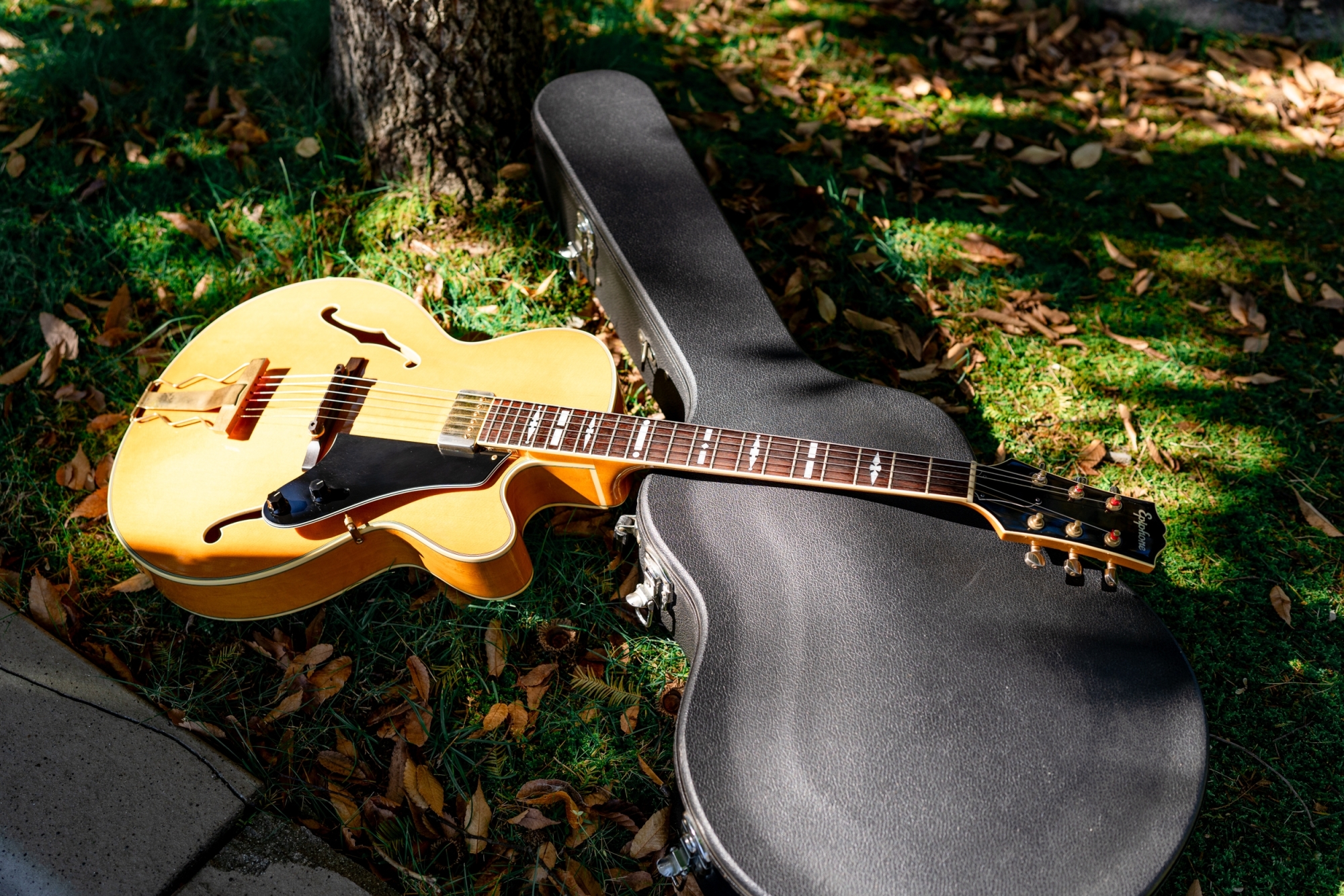 Epiphone NVJ-NT / Gibson | 売ります | 【血となり肉となるジャズ