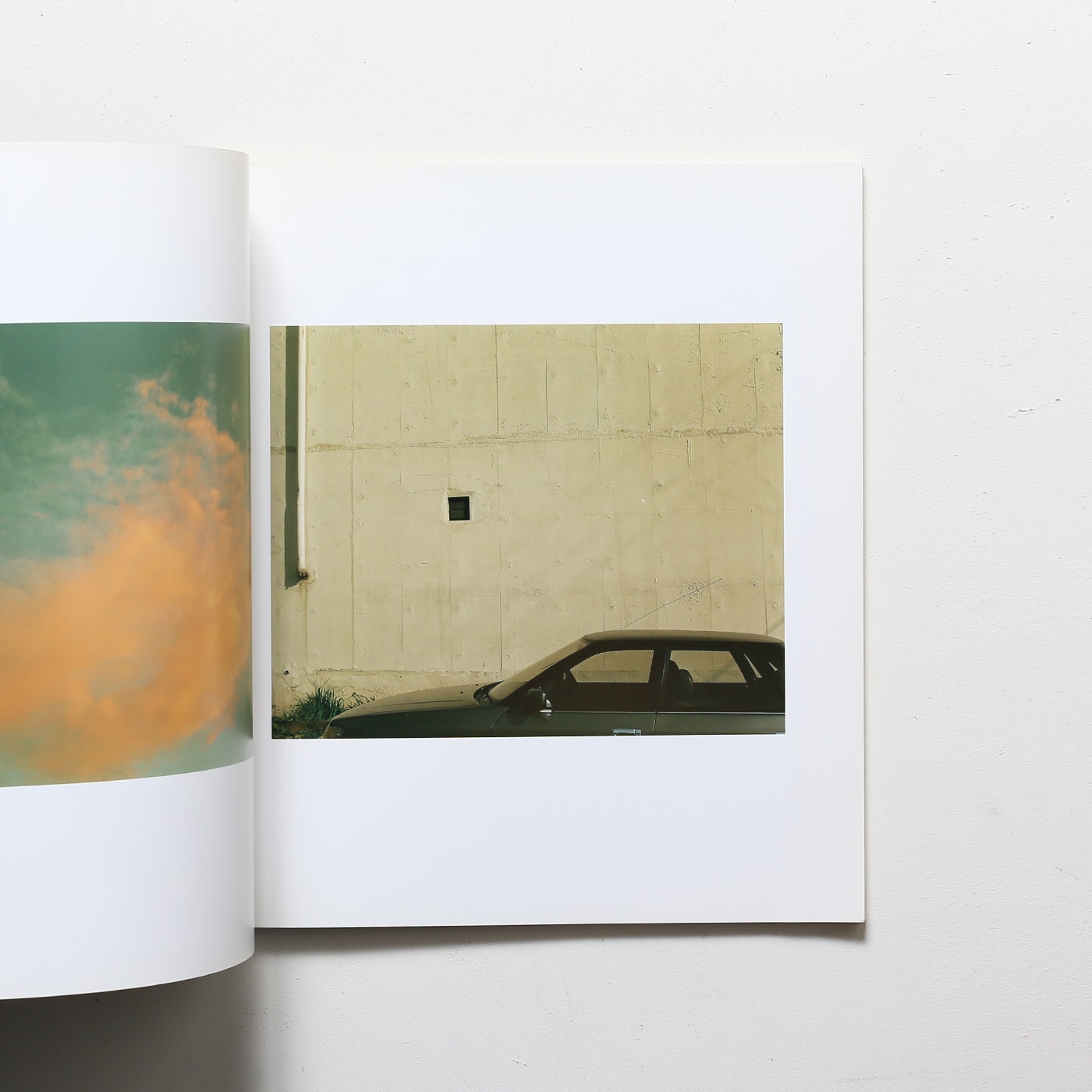 生きている | 佐内正史 | nostos books ノストスブックス