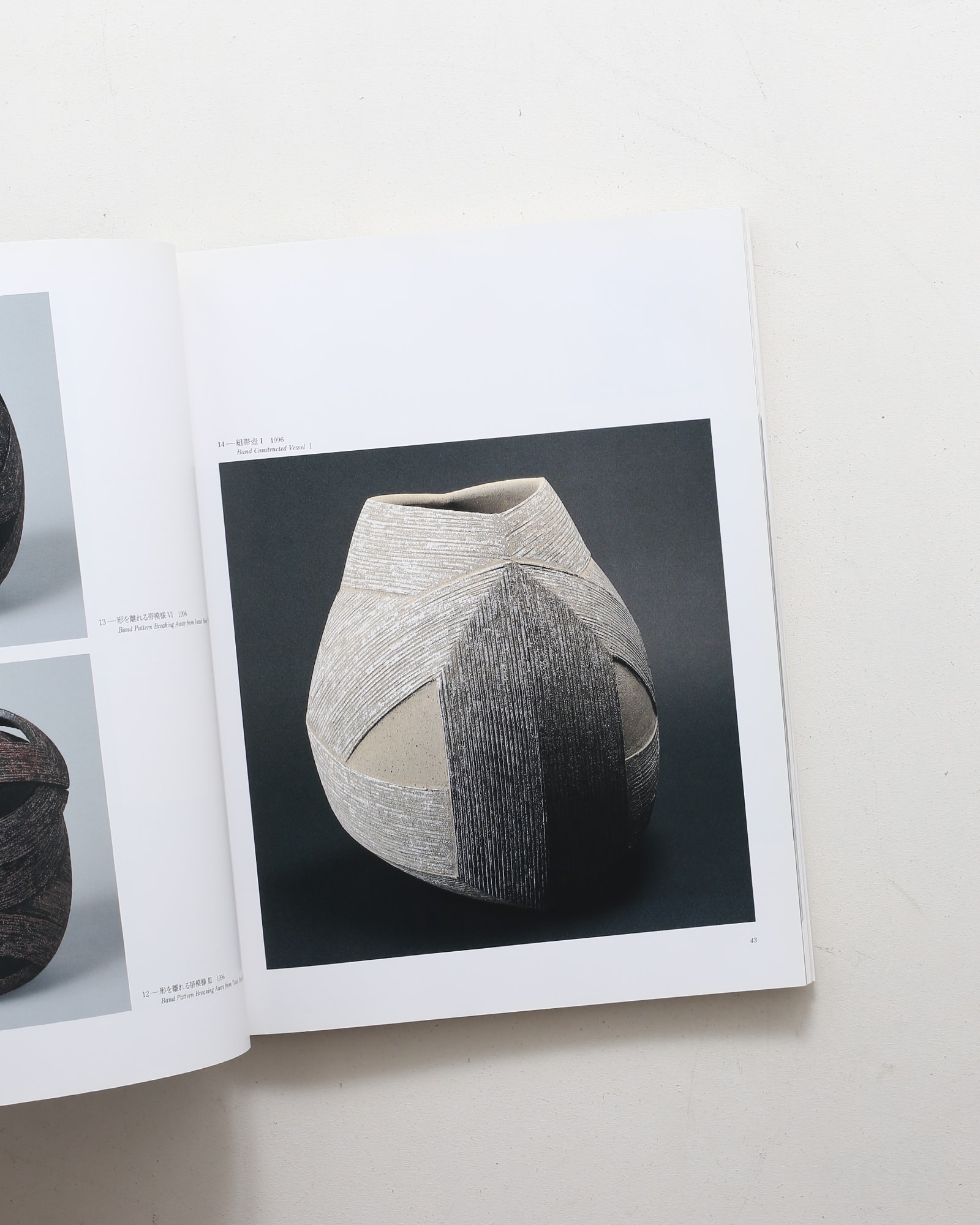 現代陶芸の精鋭 21世紀を開くやきものの手法とかたち | nostos books