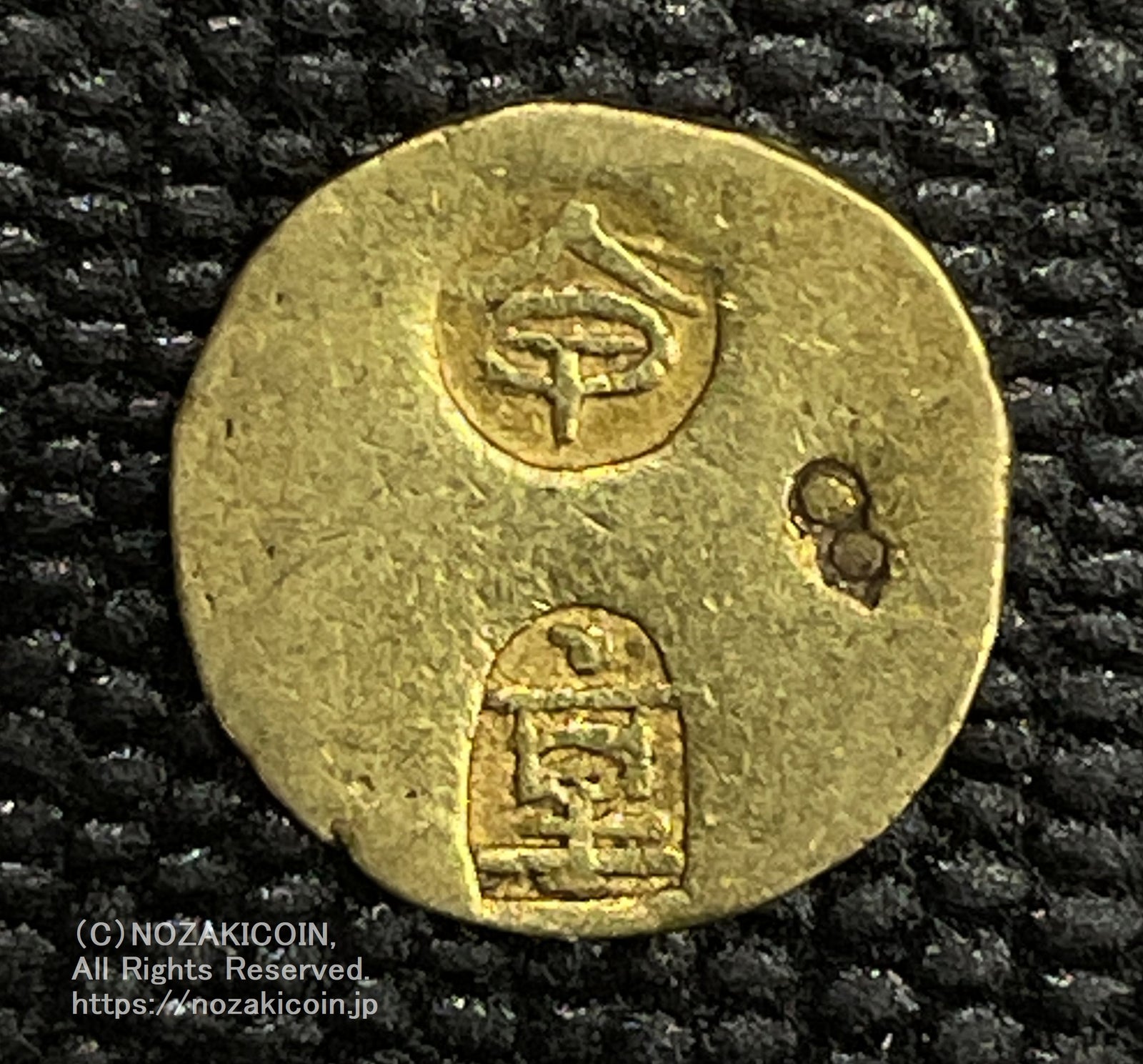 IMG_6599_1600x.jpg?v=1710413634