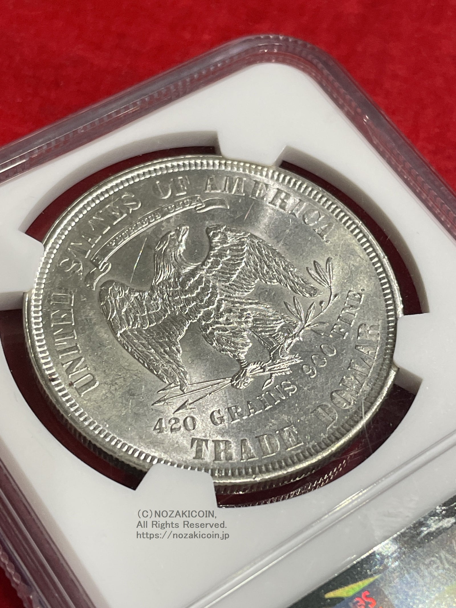 IMG_7478_1600x.jpg?v=1718858472