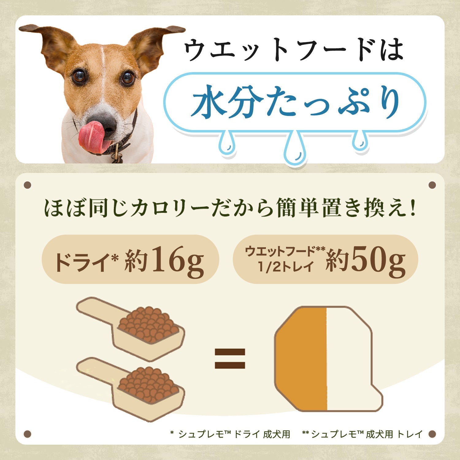 ニュートロ 子犬セット ドッグフード（シュプレモ 子犬用 小粒 3kg