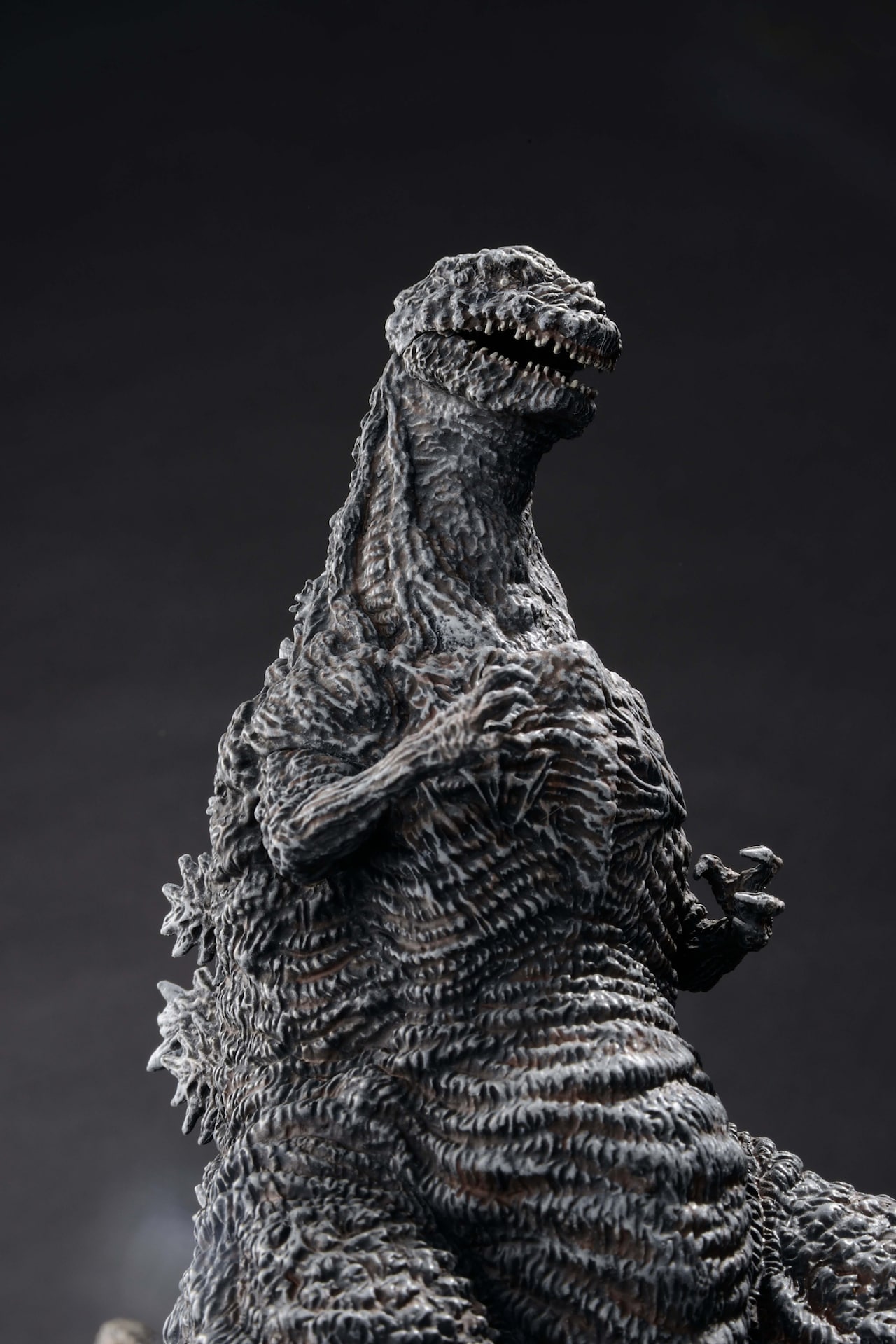 とるパカ！ シン・ゴジラ」シン・ゴジラ ビッグソフビフィギュア 凍結