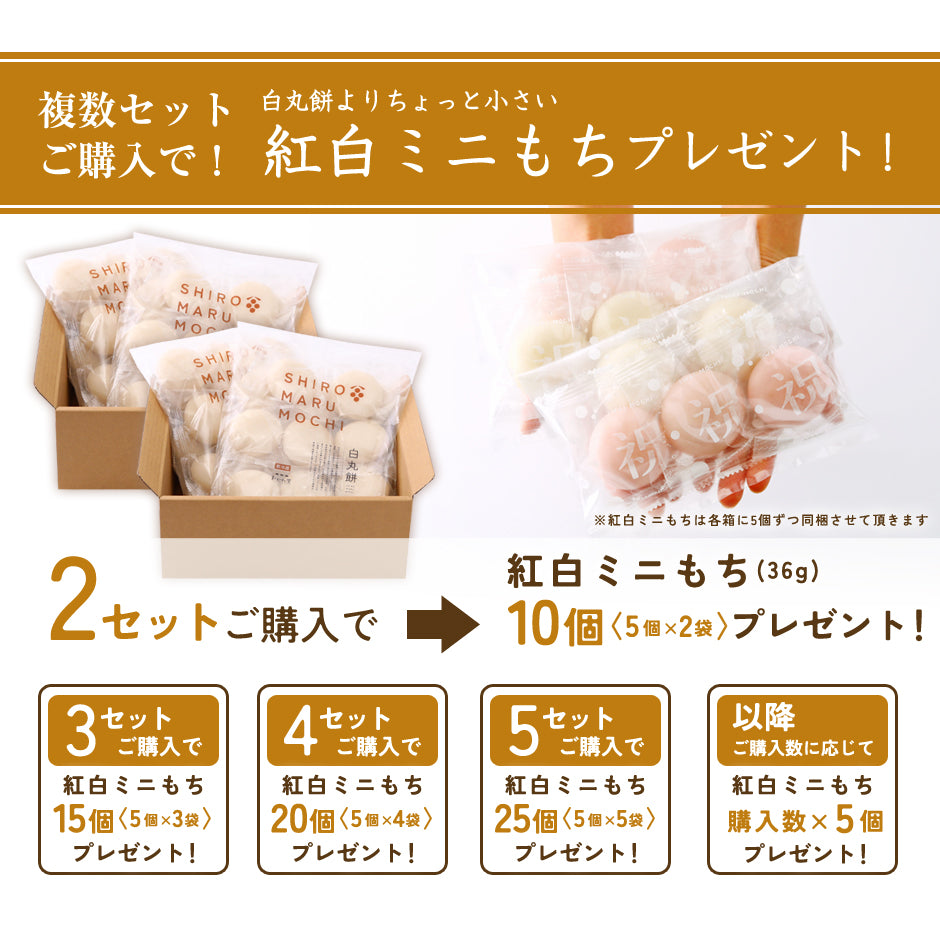 ともち(=^・・^=) おもちになります ともち(=^・・^=)