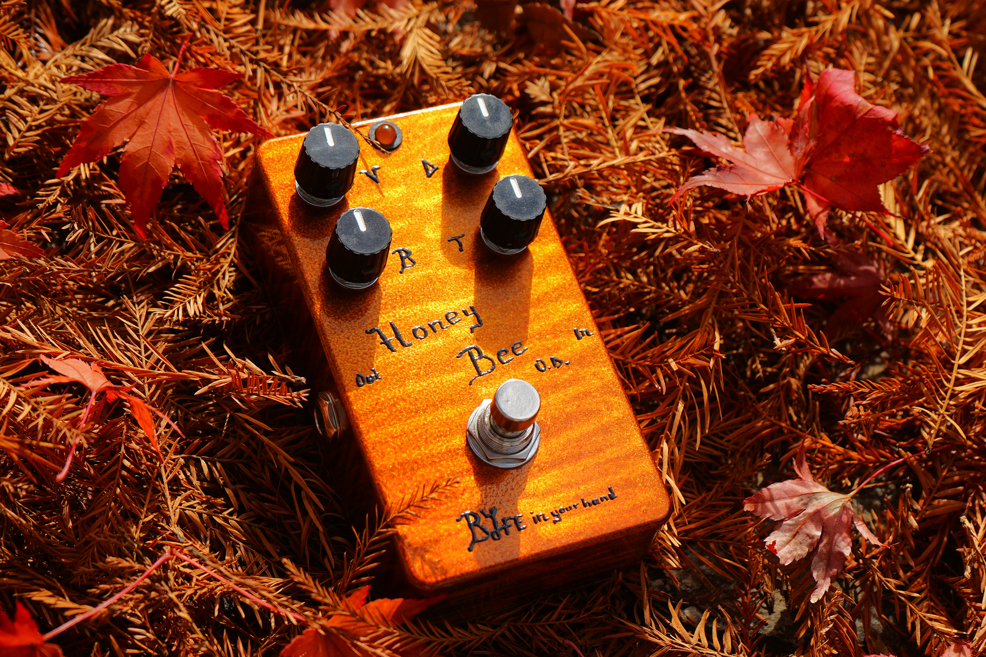 BJFE in your hand series Honey Bee OD 4K (OC-BIYH-HBOD4K) – One