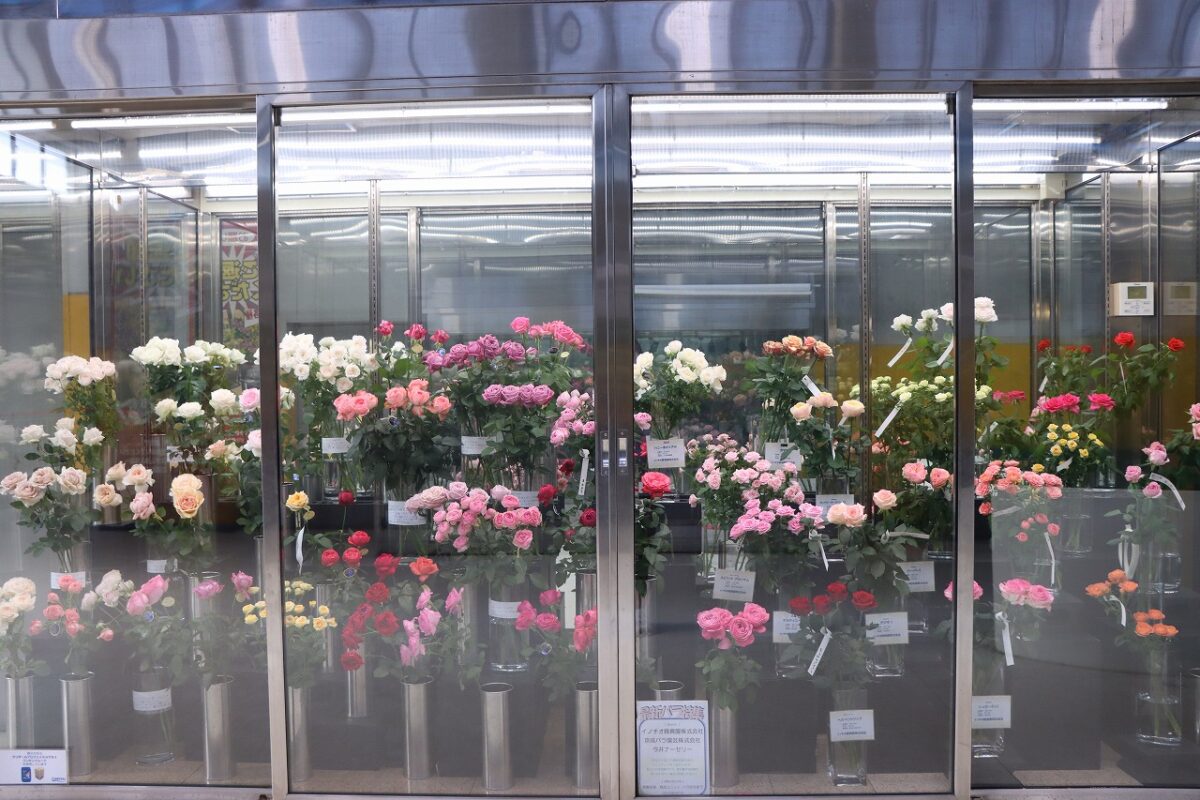 バラ売り可】1両200円＋ Bトレ 大量出品（片付けのため） Yahoo