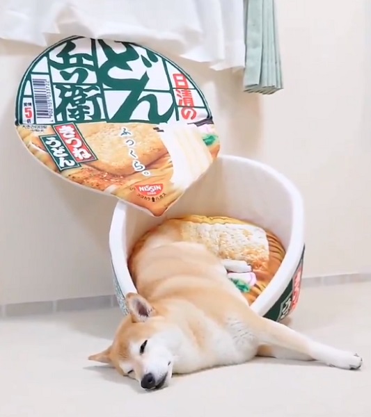日清 どん兵衛 うどん カップタイプ ペット用ベッド 日清食品 どん兵衛