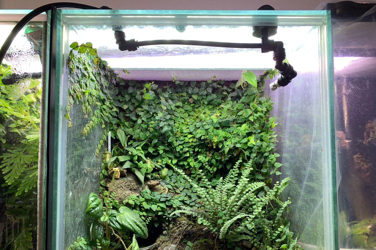 ミスティングシステム「フォレスタ」ブランドの取り扱いを始めました