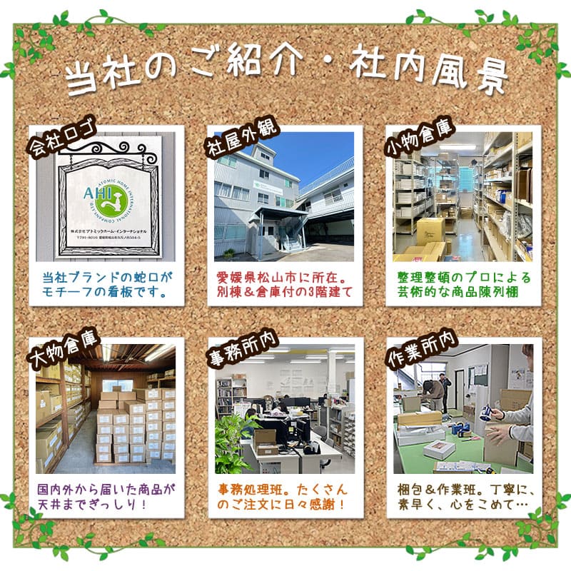 TK-8002 ボリーナ サイドプロ [Bollina SIDE PRO] 美肌・美髪・節水