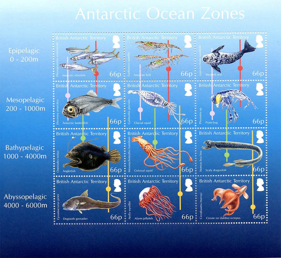 海外切手コレクション Sea Life 海洋生物 海外切手コレクション Sea