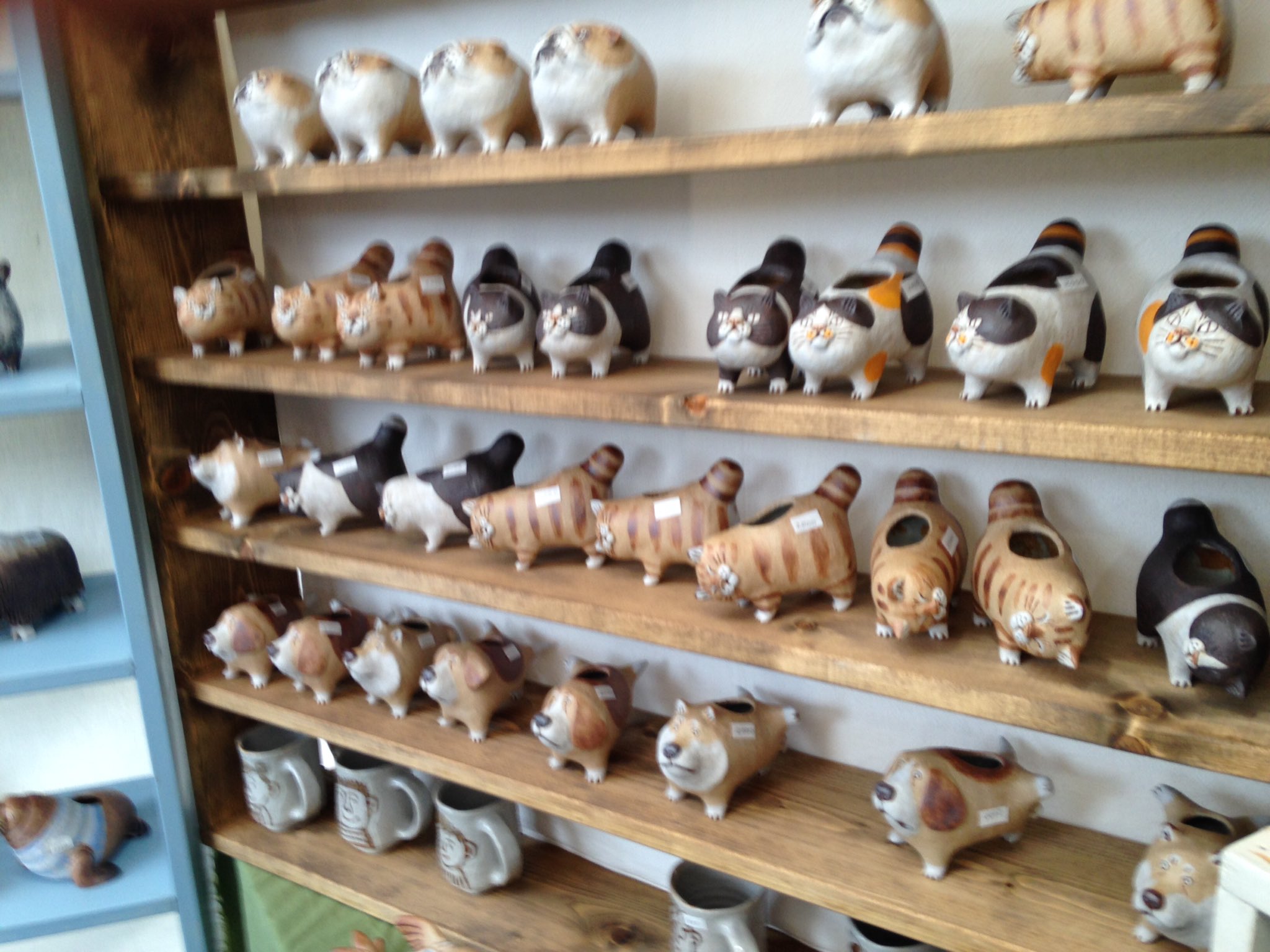 かとうゆみさんの、ワニ型陶器 かとうゆみ たまむし工房 犬 陶器 益子焼