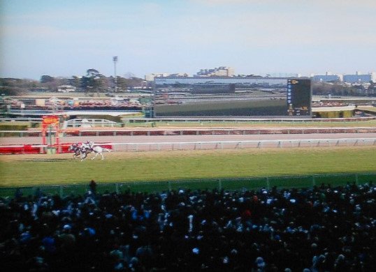 中山の大障害レースを4勝以上した馬はフジノオー（63年秋、64年春秋