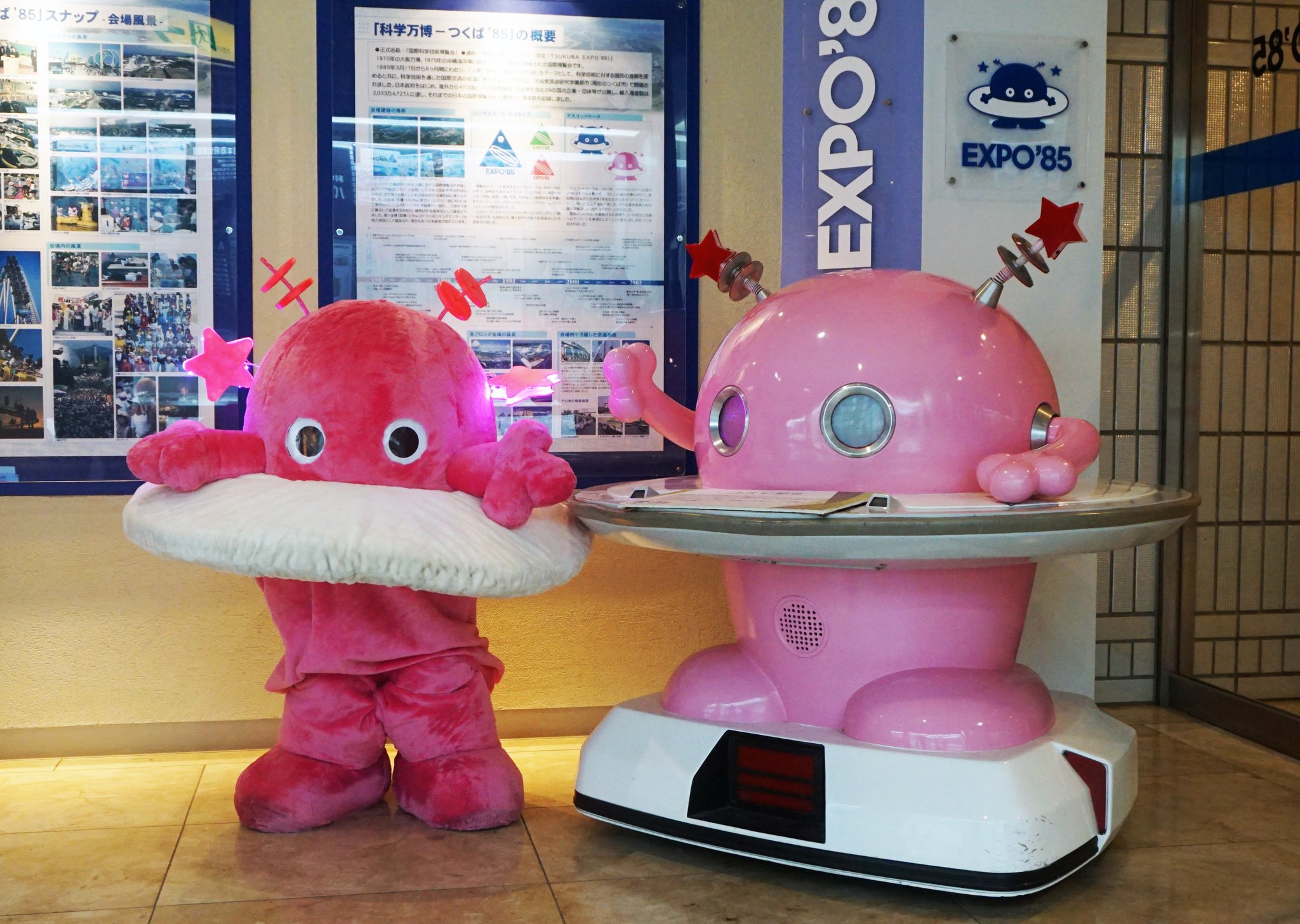 つくばEXPO'85 コスモ星丸ピンク 昭和60年開催「つくば万博」の公式