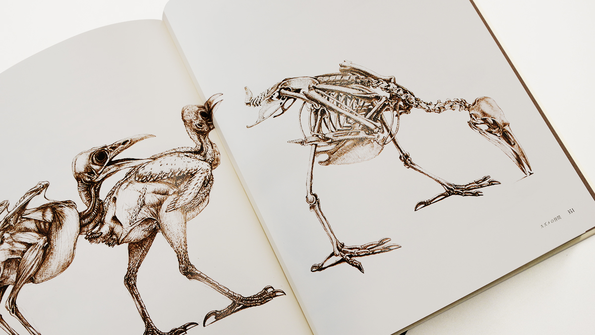 鳥類のデザイン 骨格・筋肉が語る生態と進化 鳥類のデザイン | 骨格