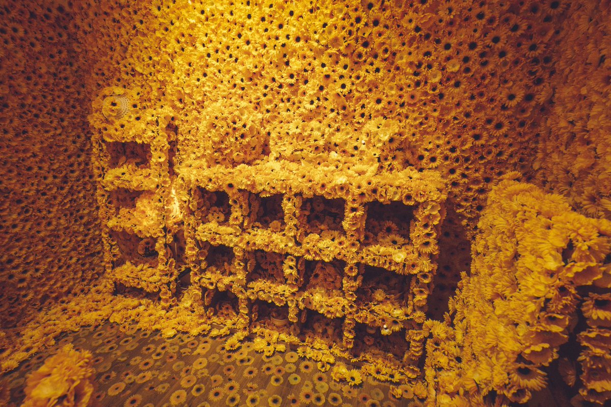 ExPOQMiU8AYpaI0.jpg?format=jpg