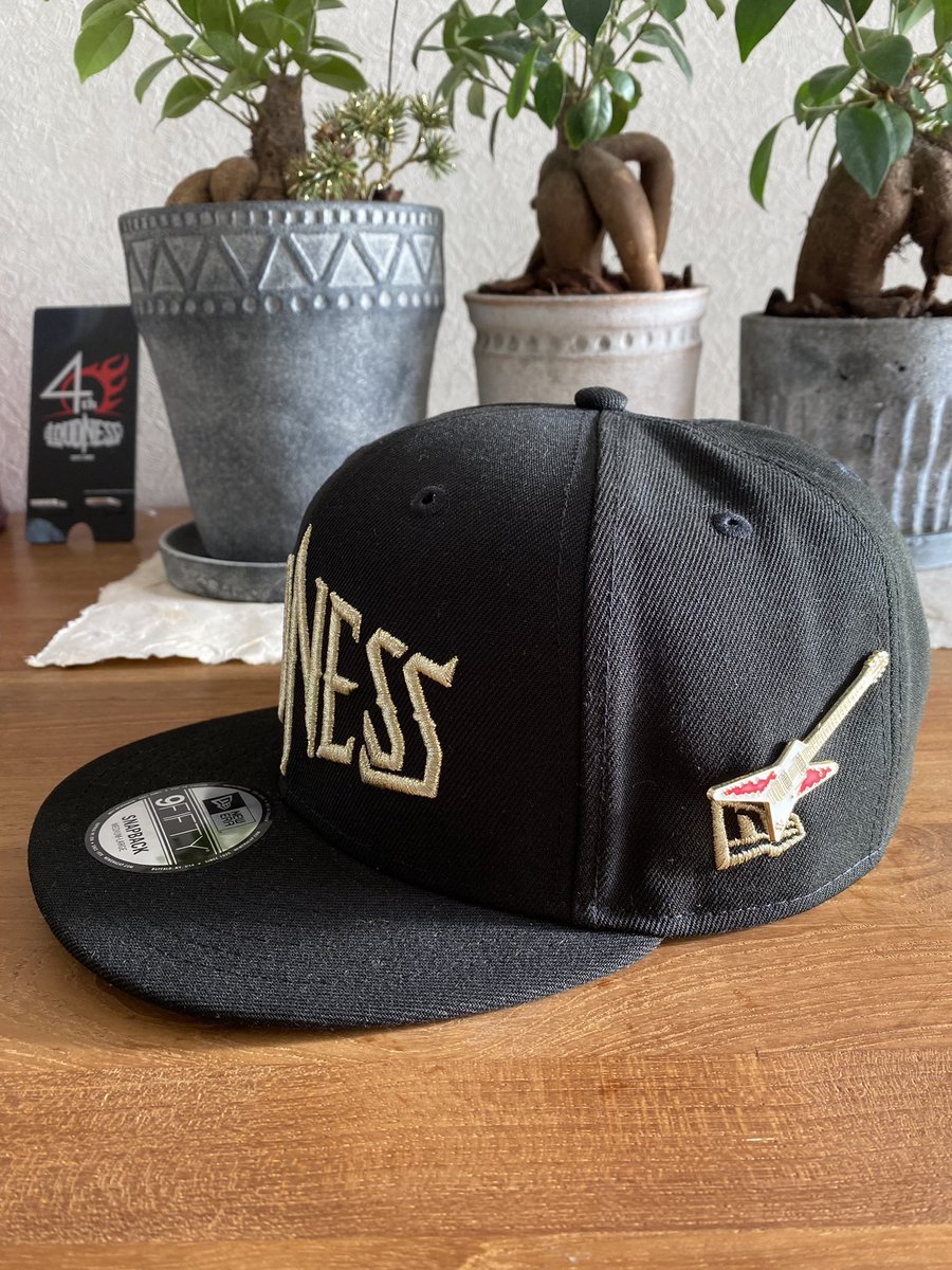 新品】LOUDNESS 山下昌良 MY-1129 BASS BOOSTER ふたつのMY-1129