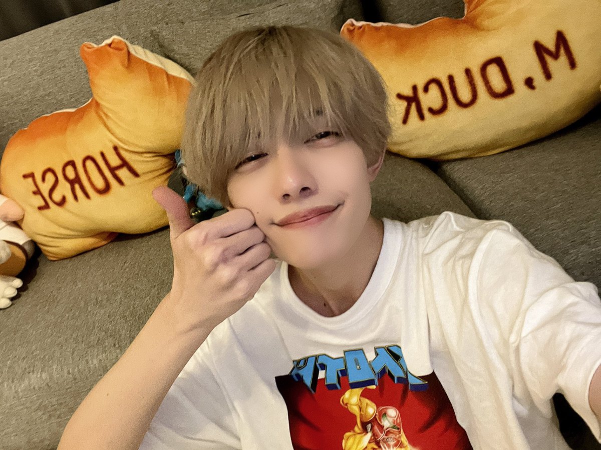 超Bigタペストリー 市川慶一郎 超Bigタペストリー 市川慶一郎 超Big