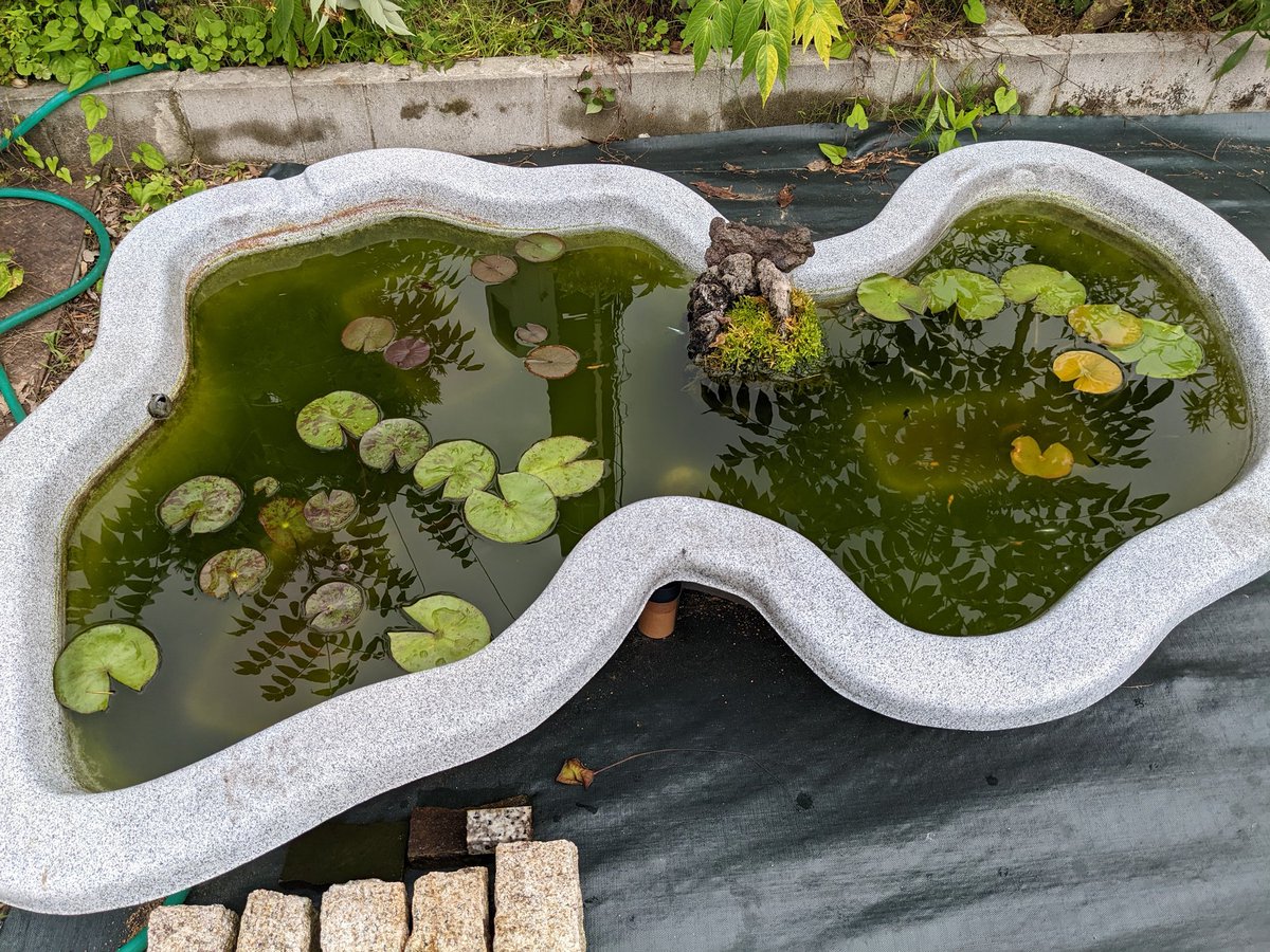 人工池 アウトレット プラ池 新品 ゼンスイ なごみ池 M 30L (庭園