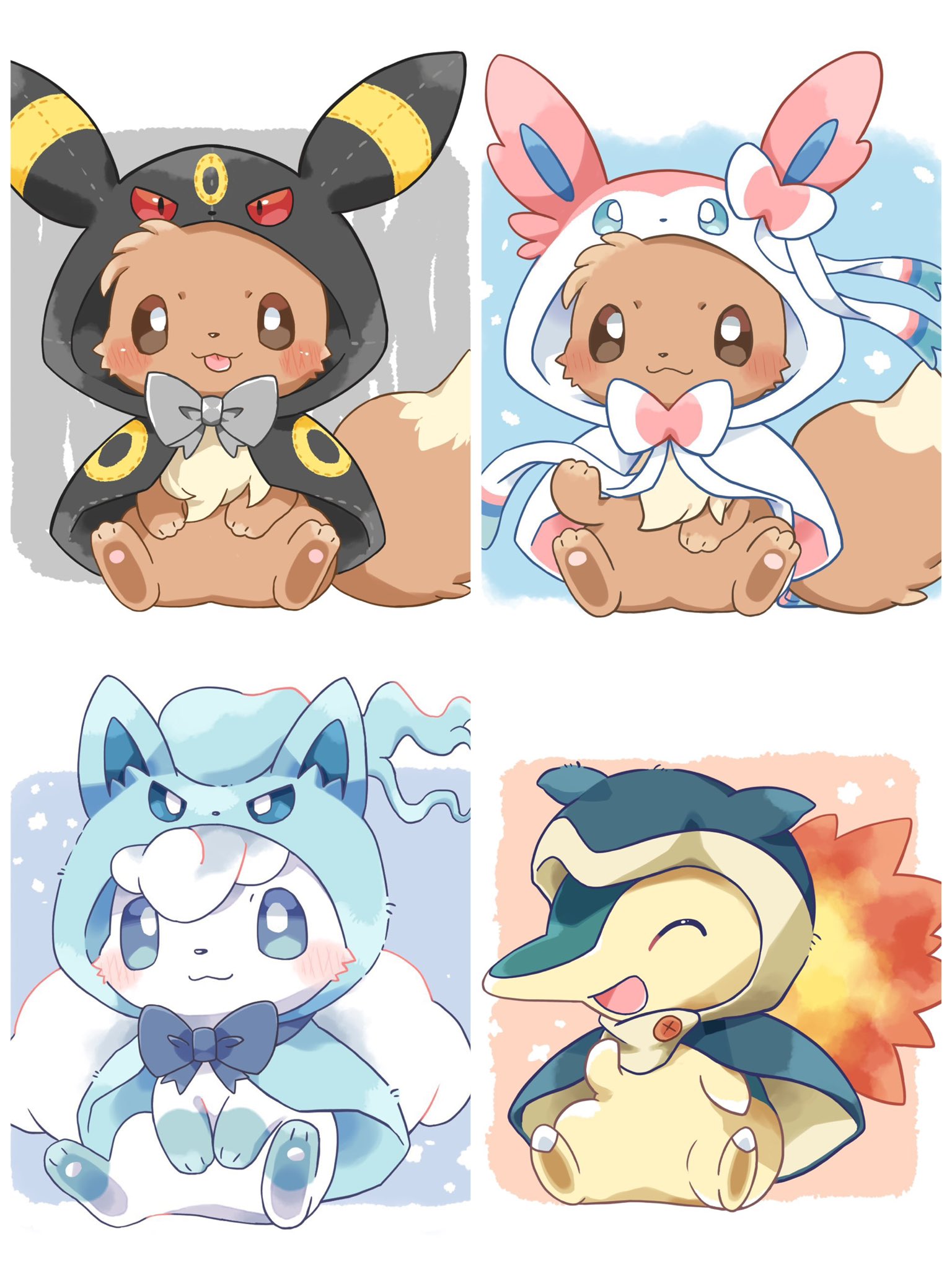 ポンチョを着たイーブイ ブラッキー ポンチョを着たイーブイ 未開封