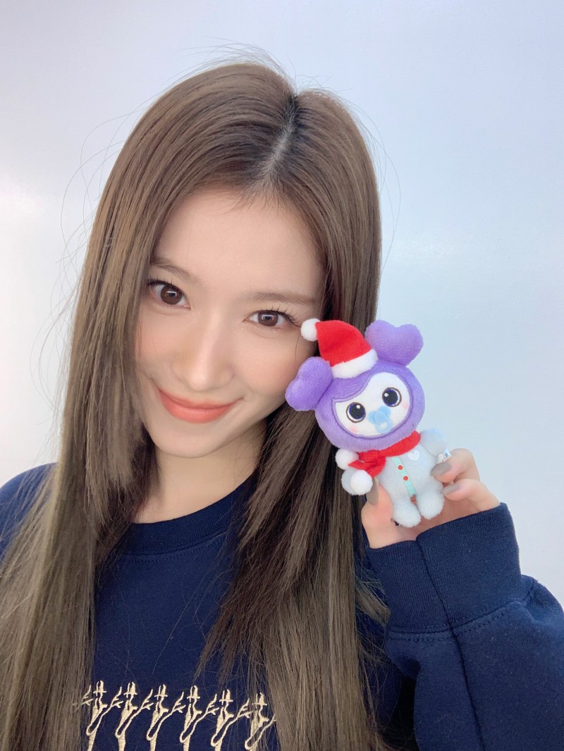 TWICE ベビーサブリー クリスマス サブリー サナ TWICE Baby Savely