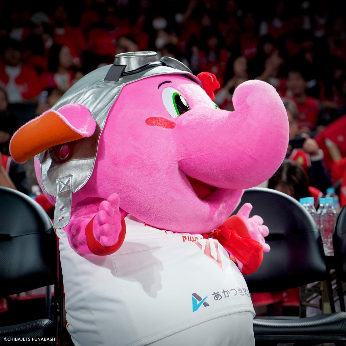 限定品】ジャンボジャンボくん➕初期ユニジャンボくん 千葉ジェッツ