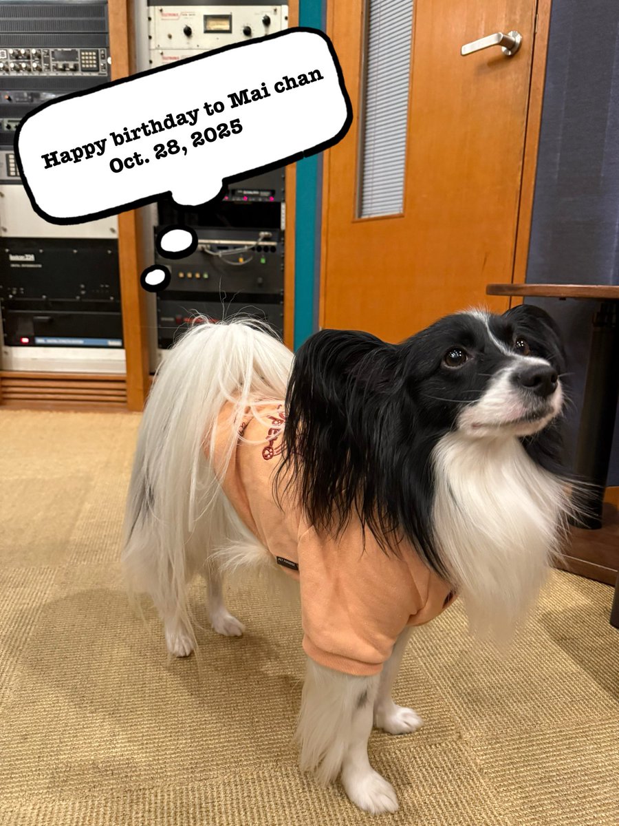 💫What a wonderful day 💫 Happy Birthday to Mai-K Your love shines