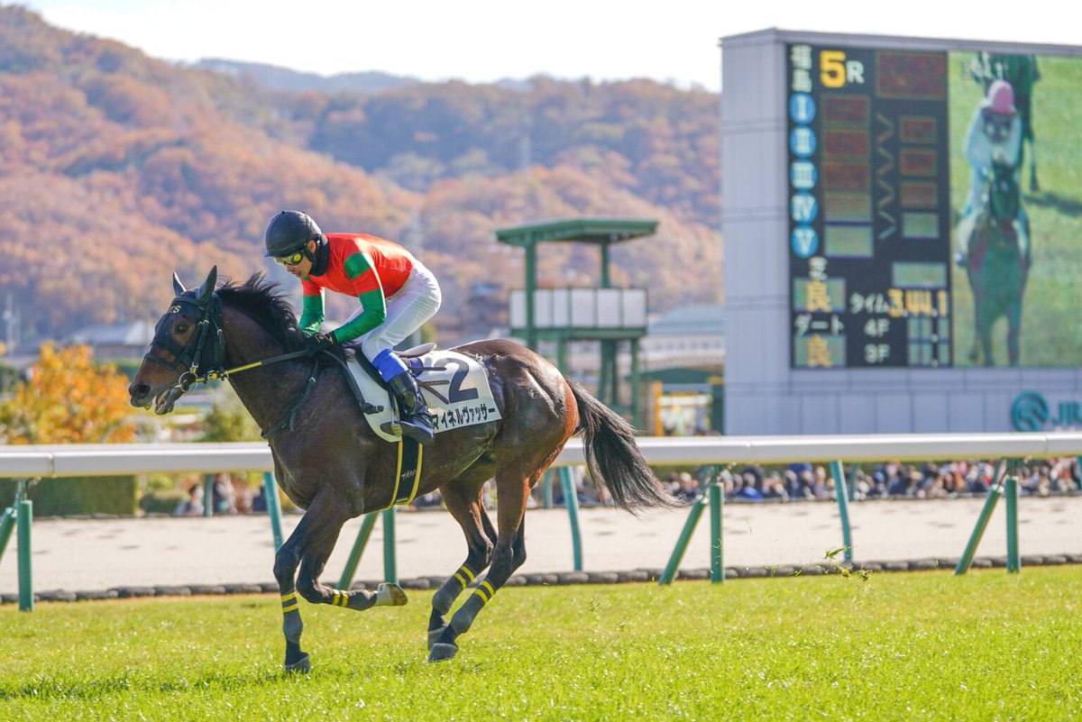 2178❣️ 瑪瑙 馬 唐馬 戦闘馬 2178❣️ 瑪瑙 馬 唐馬 戦闘馬