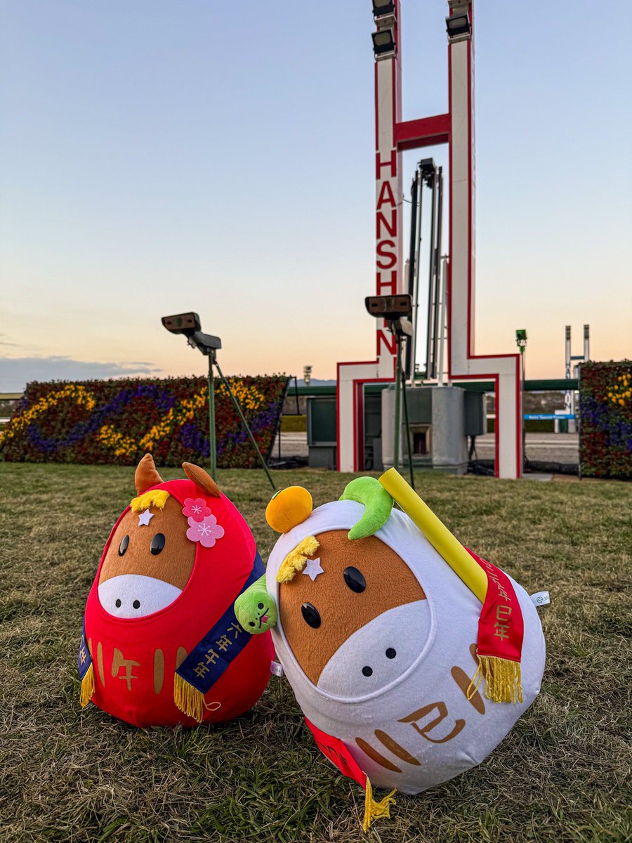 阪神競馬場【公式】 (@HanshinKeibaJo) / Posts / X