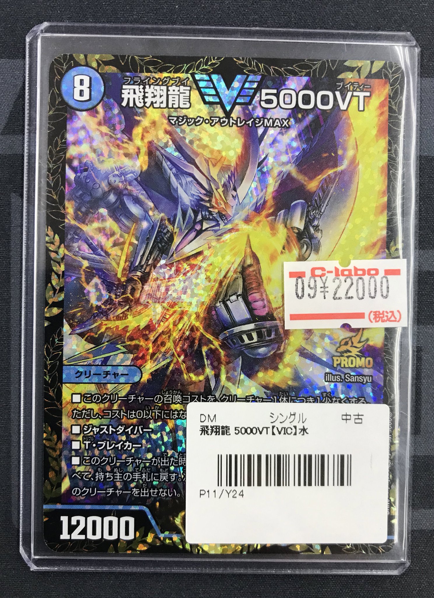 飛翔龍5000VT CS プロモ 2枚 5000vt csプロモ 2枚 飛翔龍 5000VT CS