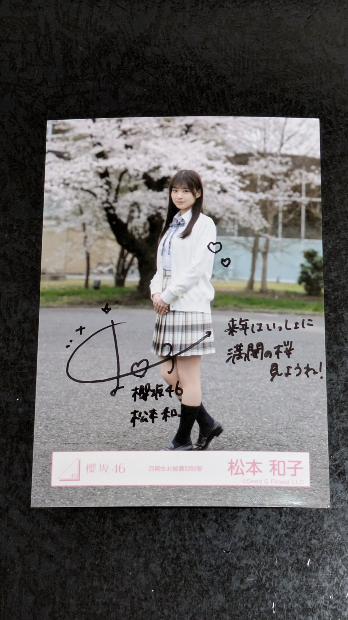 櫻坂46 松本和子 4期生 お披露目制服 直筆サイン 松本和子 櫻坂46 生