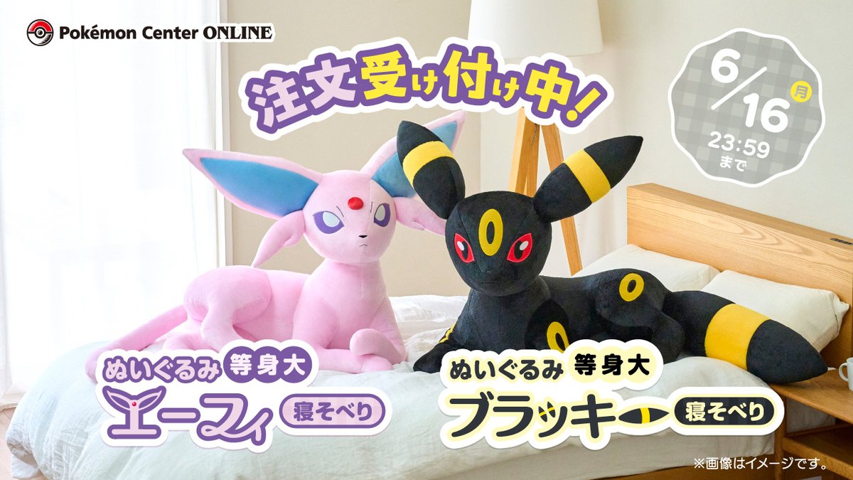 ブラッキー 等身大 ポケモンセンター ポケモン オンライン限定 ぬいぐるみ