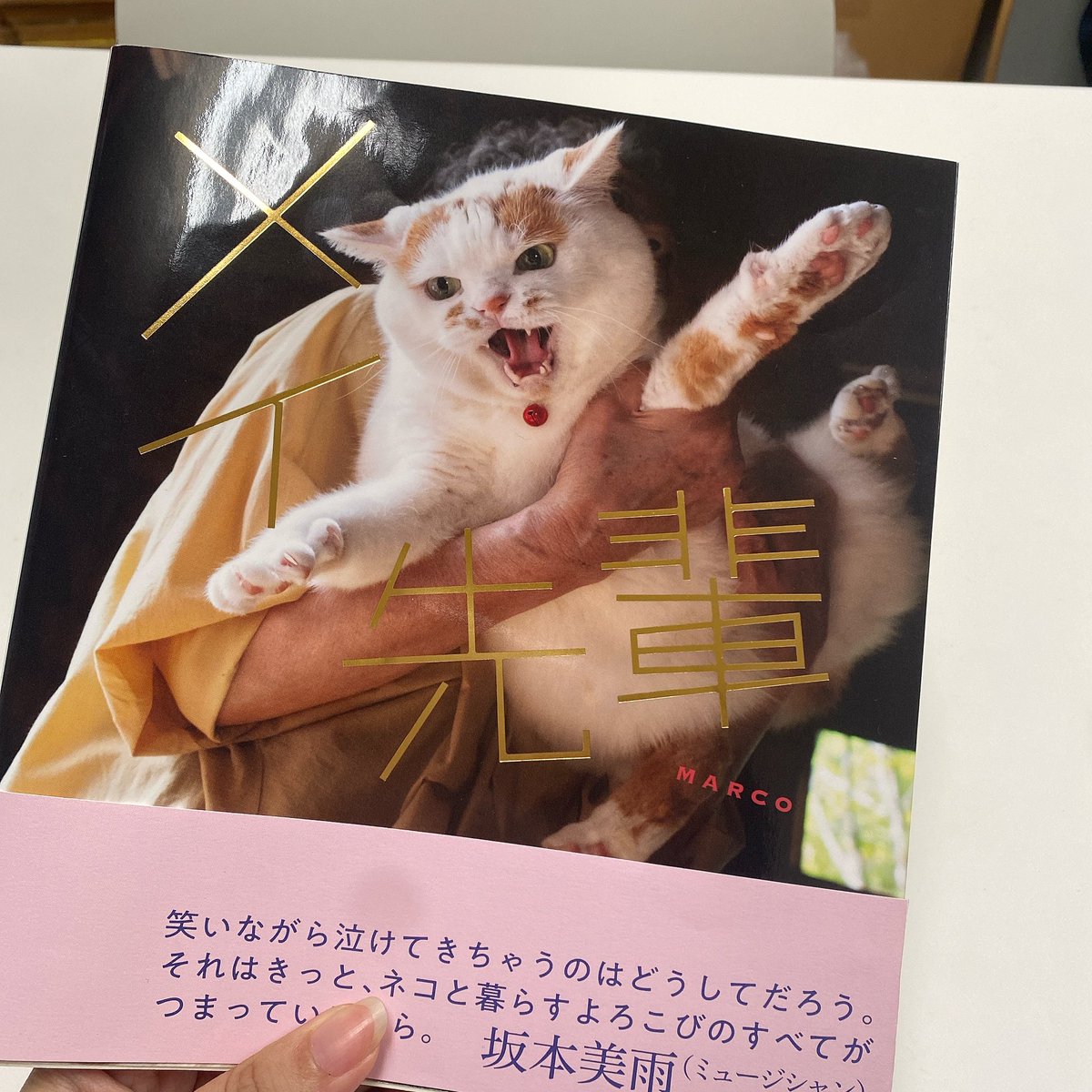 きょー様専用 きよ様専用 kiyo様専用 きよ様 専用 キヨ様